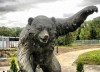 День медведя в Ярославле