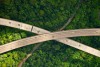 6 удивительных дорог над деревьями