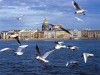 Квартиры в Санкт-Петербурге или гостиницы?