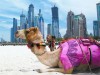 Самостоятельное путешествие в Дубай: полезные советы