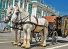 В Санкт-Петербург на выходные: как организовать отдых?