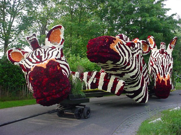 Фестиваль цветов Bloemencorso в Голландии
