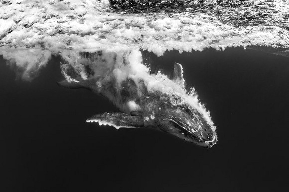 Победители конкурса «Travel Photographer 2015»: лучшие фотографии года