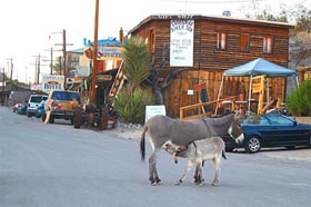 Город-призрак Оатман (Oatman) в штате Аризона, США